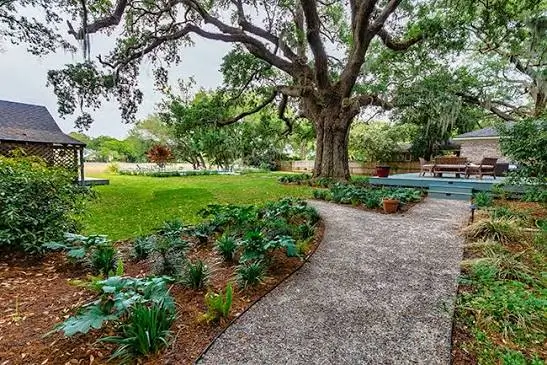 Why Charleston Homeowners Trust Yard Art Landscaping